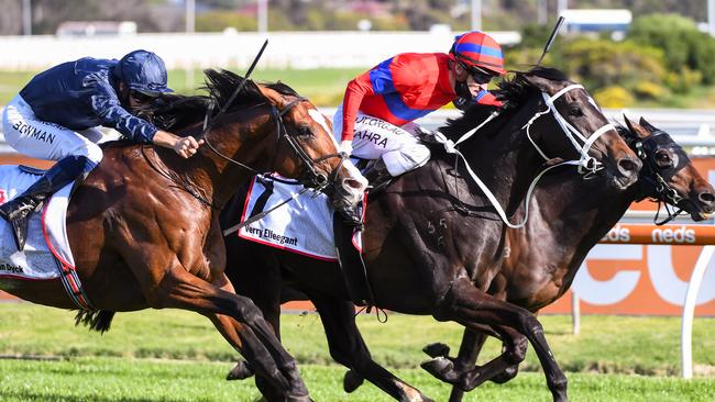 Verry Elleegant (centre), ridden by Mark Zahra, makes her sustained run to win the Stella Artois Caulfield Cup. Picture: Getty Images