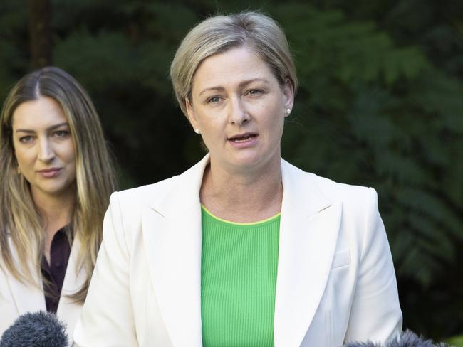 Shadow Minister for Child Protection Amanda Camm speaking at Monday’s announcement. Picture: Richard Walker