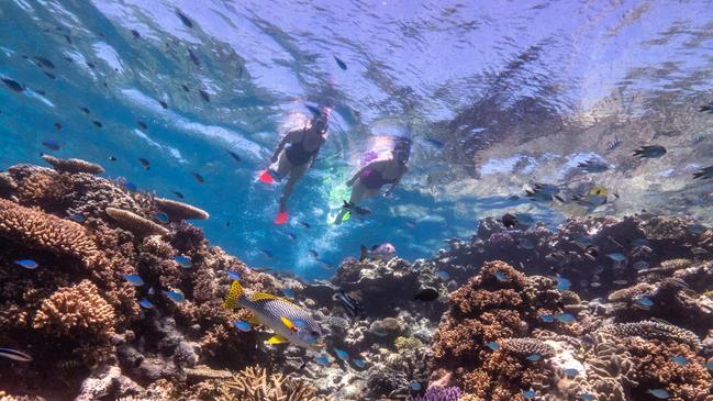 The Great Barrier Reef continues to be a massive tourism drawcard for Cairns as the region earned record tourism profits in 2022.