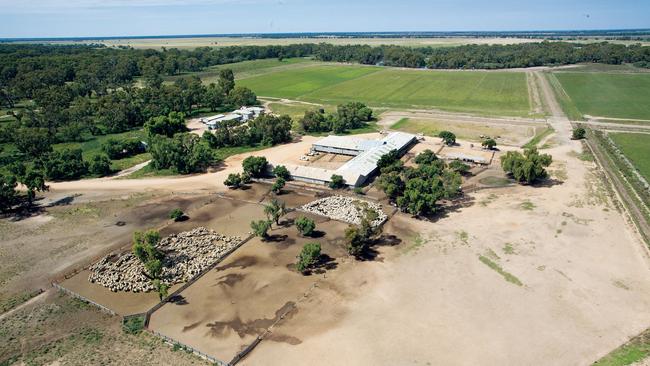 An aerial shot of the Boonoke woolshed and yards.