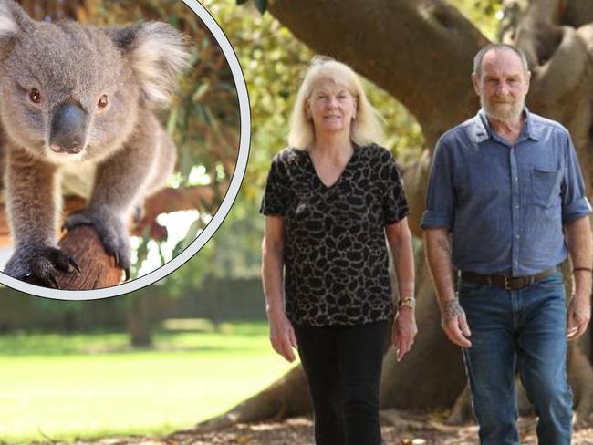 Koala park could threaten jobs