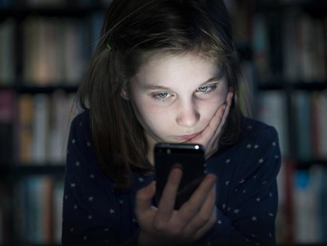 Cyber bullying is everyone’s responsibility says Inman Grant. Pic: iStock