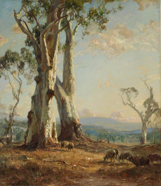 Morning Light, 1913, oil on canvas, by Hans Heysen.