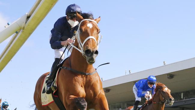 Home Affairs has drawn ideally in the Coolmore Stud Stakes. Picture: Getty Images