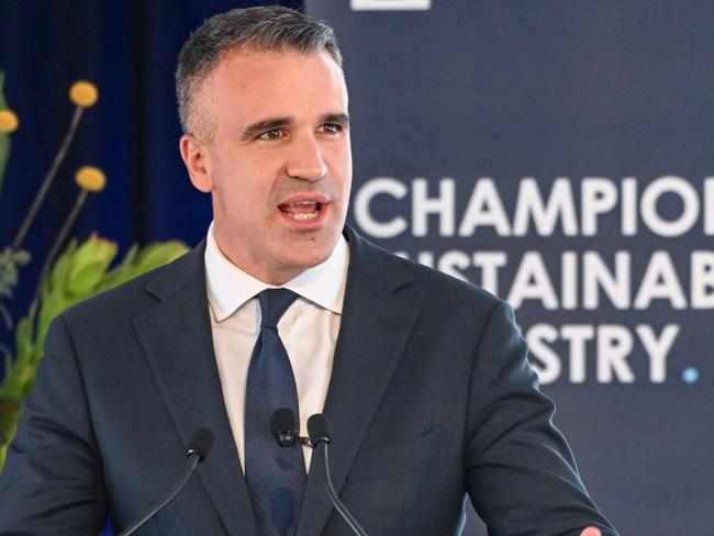 Premier Peter Malinauskas announcing the Whyalla steel plant will be run on hydrogen fuel, making it the first green steel plant in the world. April 4, 2023. Picture: GFG ALLIANCE/Brenton Edwards