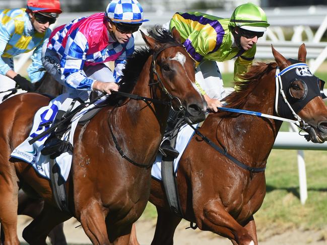 MELBOURNE, AUSTRALIA - FEBRUARY 27: Damian Lane riding Flamberge defeats Glyn Schofield riding Fell Swoop in Race 8, Oakleigh Plate during Melbourne Racing at Caulfield Racecourse on February 27, 2016 in Melbourne, Australia. (Photo by Vince Caligiuri/Getty Images)