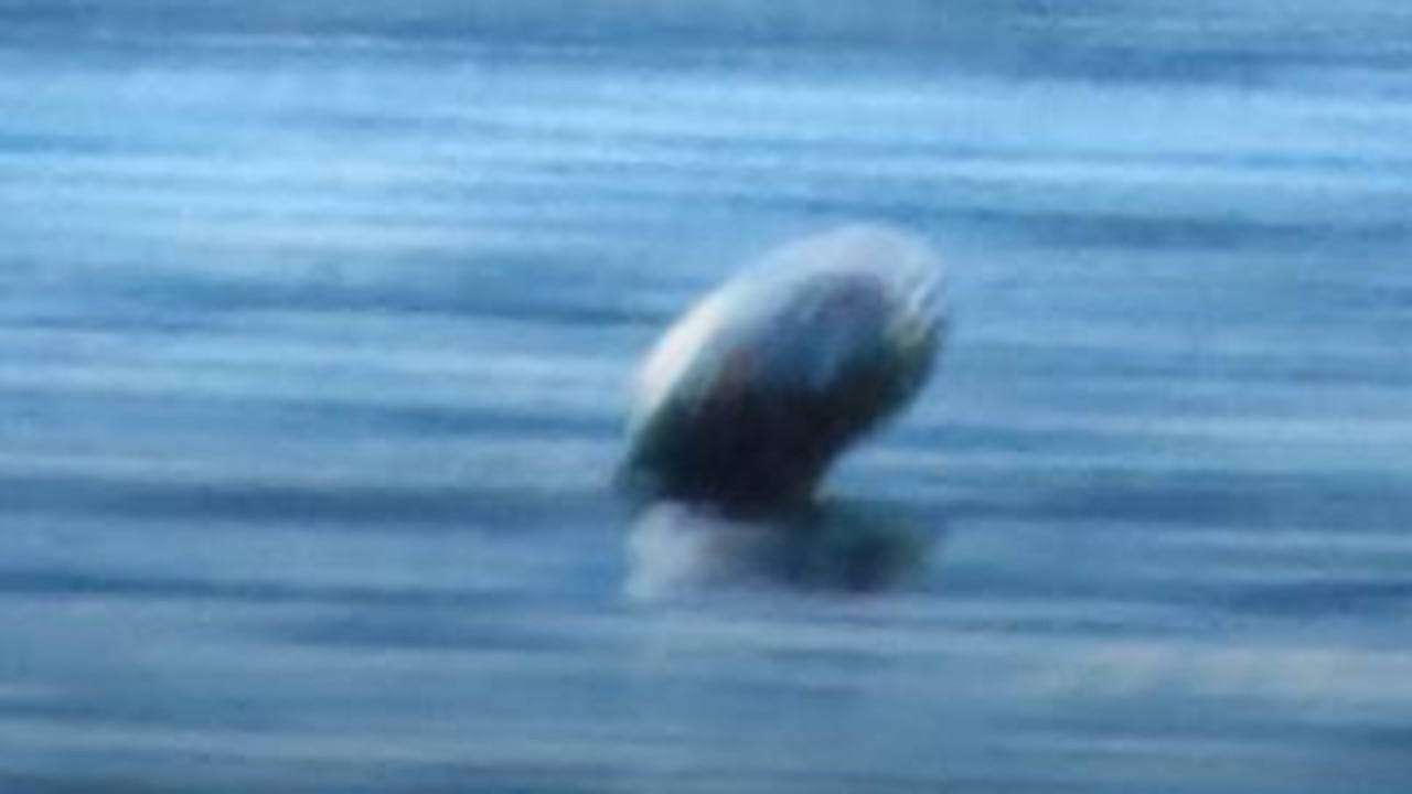 Bill Steciuk took this photograph of what he believes is Ogopogo’s head breaking through the lake’s surface in 2015. Picture: Bill Steciuk