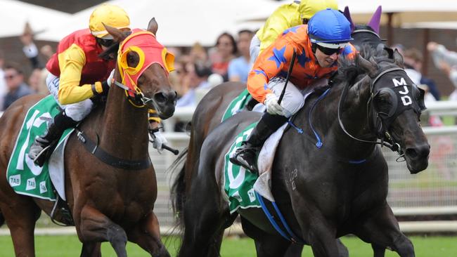 Hermosa Beach wins the TAB Highway Handicap (1400m). Picture: Simon Bullard