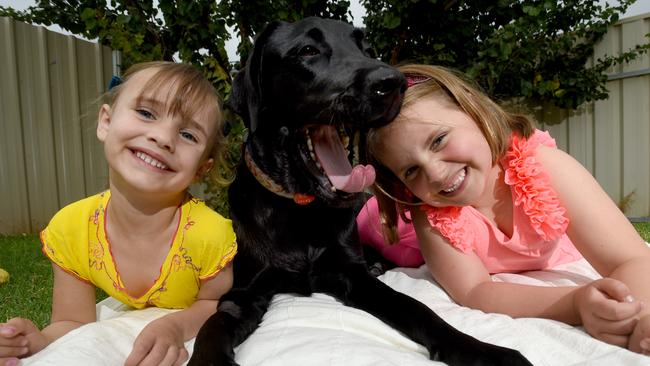Poppy the ex-guide dog with four-year-old Arya and six-year-old Jamie at their Angle Vale home.