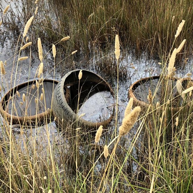 Tyres dumped in a nearby waterway. Picture: Anthony Piovesan