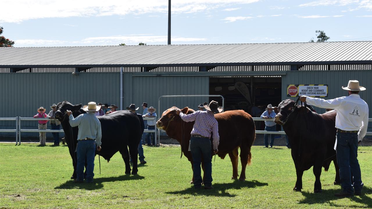 There was plenty to see at the Rockhampton Agricultural Show from woodchopping to vegetable displays and prized cakes.