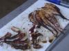 ‘Wouldn’t be GleNTi’ without octopus: Festival organisers give key update