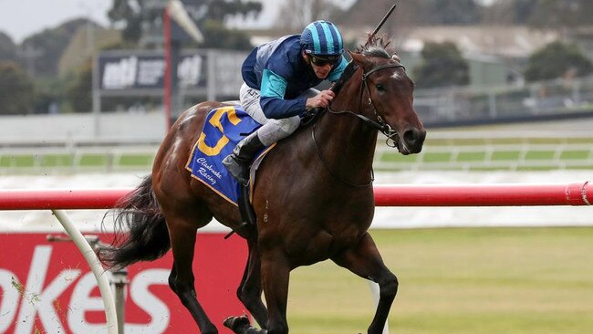 Ranveer could return from a spell as a winner on his home track at Mornington on Saturday. Picture: Racing Photos via Getty Images