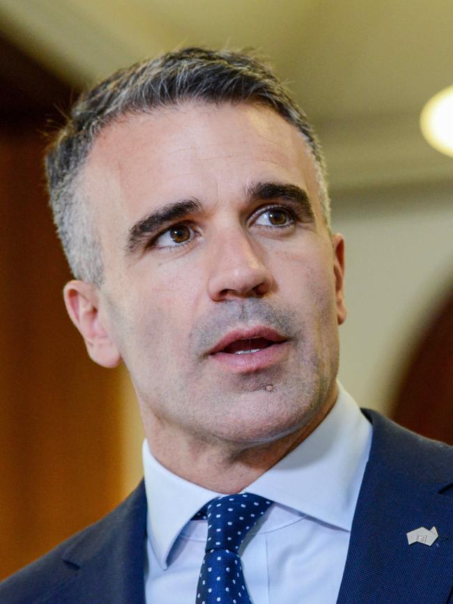 Premier Peter Malinauskas. Picture: NCA NewsWire / Brenton Edwards