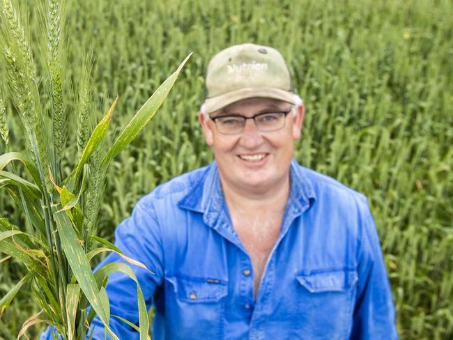 CROP: Tom McDonnell on farm at Darraweit GuimTom McDonnell runs a sheep and cropping farm at Darraweit GuimPICTURED: Tom McDonnell in his wheat cropPicture: Zoe Phillips