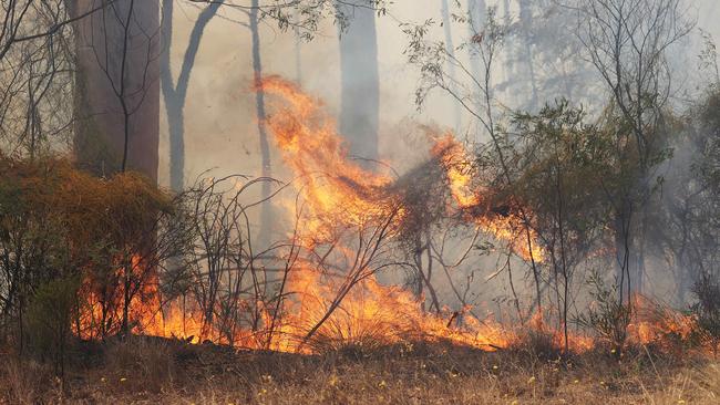 A fire in Tara. Picture: Liam Kidston