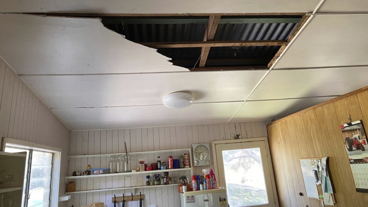 Two non-venomous carpet pythons 2.8m and 2.5m long crashed through the kitchen ceiling of a house at Lacey’s Creek, Queensland. Picture: Steven Brown via AP