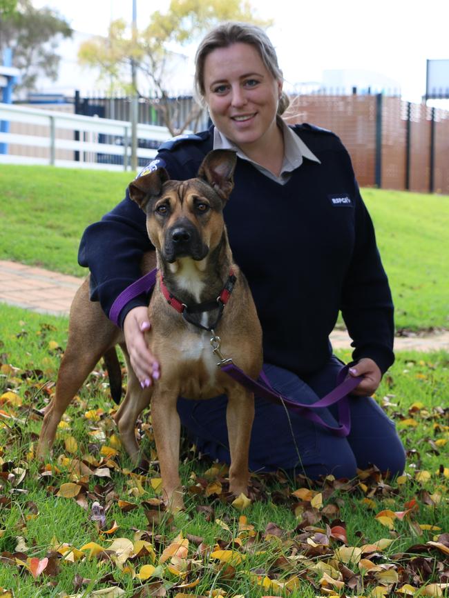 Bindi with inspector Florence Maude while she remains in care at the RSPCA Malaga. Picture: RSPCA WA