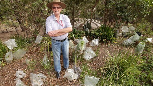 Fred Bauer has had his garden destroyed by wild deer. He has tried plastic bags and   wire fencing to deter them, with no success. Picture Norm Oorloff