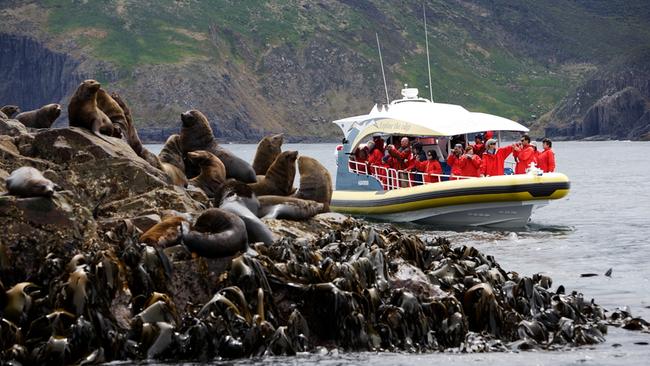 Bruny Island Cruises offer tours around Adventure Bay, Tasmania.