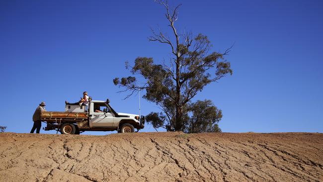 Farmers across the country have been severely hit by the drought. Picture: Jonathan Ng