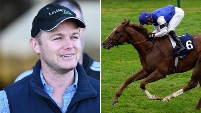 Former English galloper Tatsumaki will make his racing comeback at Caulfield after 1258 days for trainer Ben Hayes. Picture: Getty Images