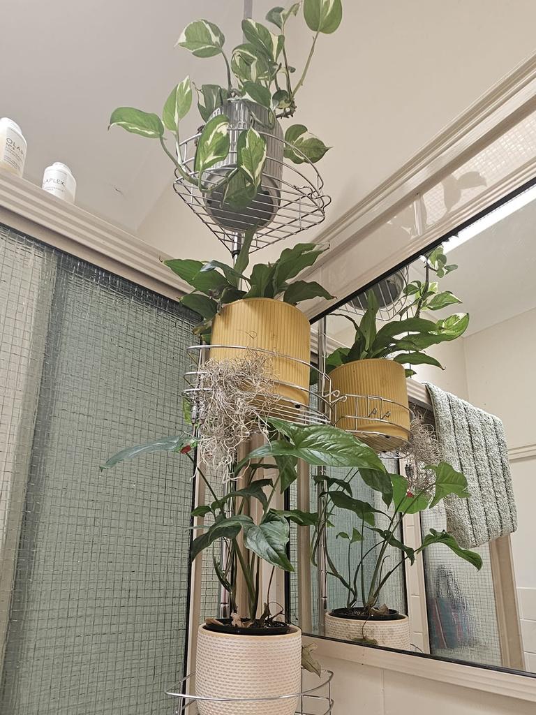 People are using Kmart's shower caddy as a plant holder. Picture: Facebook