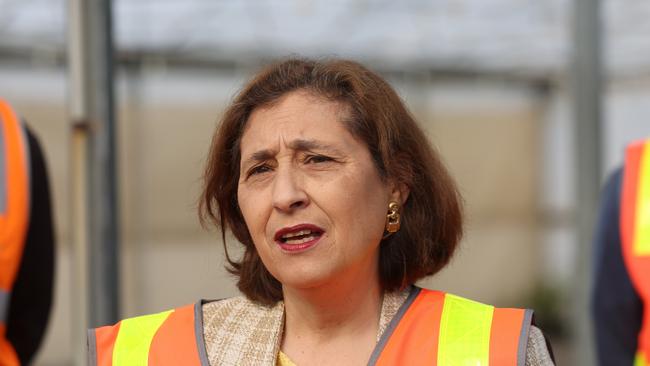 Victorian Energy Minister Lily D’Ambrosio. Picture: NCA NewsWire /Brendan Beckett