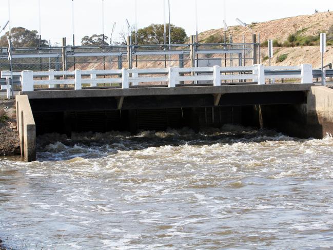 Canada owns more Aussie water than irrigators