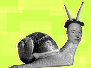 Our artist Emilia Tortorella's impersonation of Elon Mollusk.