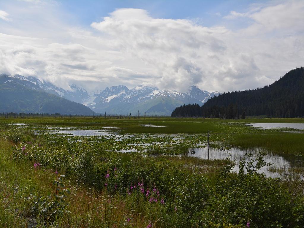 An elderly immunocompromised man from the Kenai peninsula (pictured) died while undergoing treatment in late January.