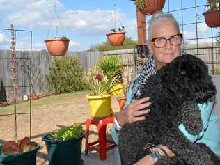 POST-WAR BATTLE: Veteran Joy O'Donohue with her assistance dog Chicko, who helps her survive. Picture: Meg Bolton