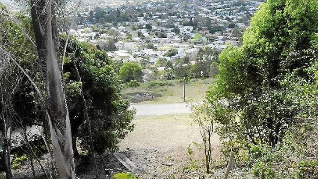 A Belvedere St resident was fined $15, 000 for clearing trees without permission. Picture: Doug Eaton