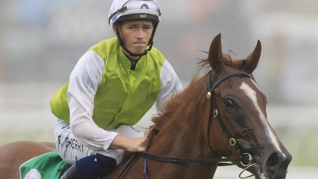 Apprentice Tom Sherry will partner Barossa Rosa at Canterbury on Friday night. Photo: Mark Evans/Getty Images