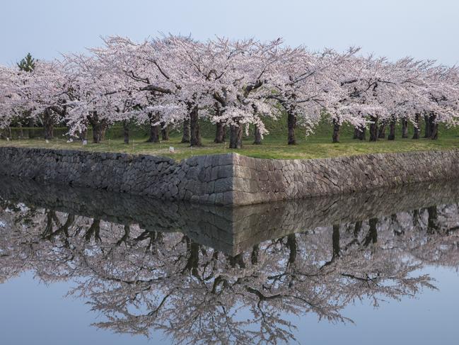 Photo and caption by Hiroshi Tanita / National Geographic Travel Photographer of the Year Contest SymmetryrtemmyS Cherry blossoms reflected in perfect condition.