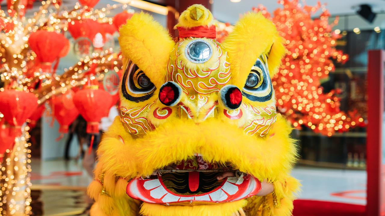 Lunar New Year: Sydney to chomp its way through thousands of kilos of ...