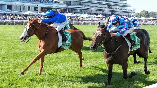 Cascadian denies a brave Pride Of Jenni in the Australian Cup. Picture: George Sal/Racing Photos via Getty Images