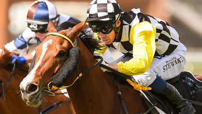 Trainer Chris Anderson will rethink plans for Profit after he was beaten at Eagle Farm. Picture: AAP