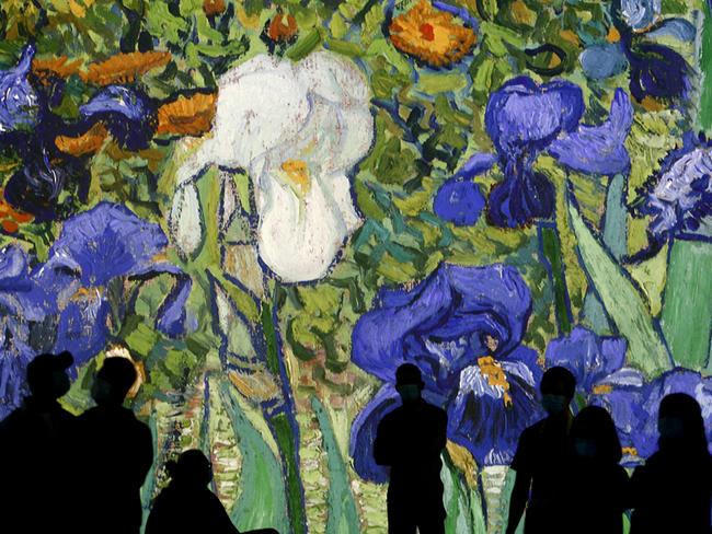 Vistors inside the Van Gogh Alive exhibition admire the artist’s 1889 work, Irises. Picture: John Appleyard