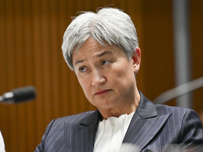 Foreign Minister Penny Wong has been silent on the arrest warrants. Picture: NewsWire/Martin Ollman