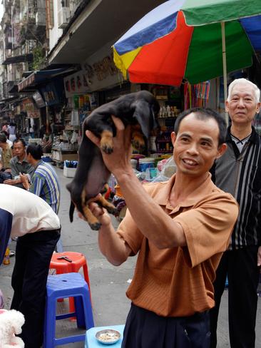 Qingping China markets | escape.com.au