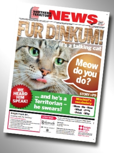 <p>Number 15: FUR DINKUM: It’s a talking cat (August 29, 2009)</p>