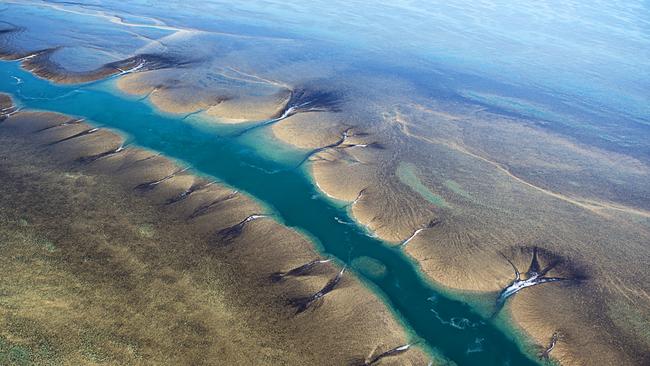 Aerial view of the Montgomery Reef, Kimberley.