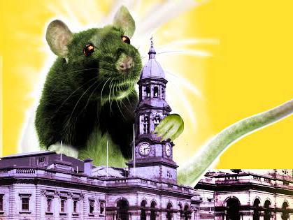 The hunt is on for the rat in Adelaide's city hall.