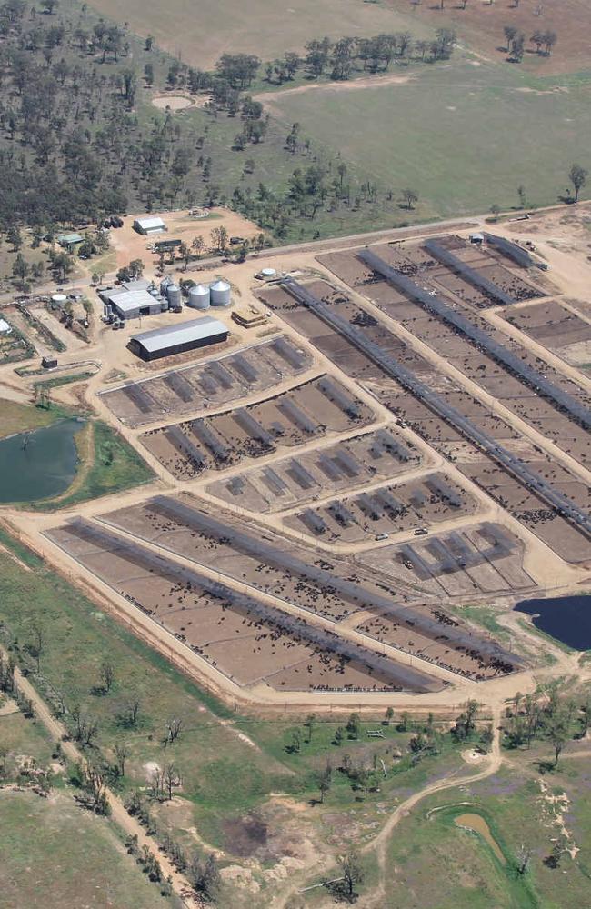 Maydan Feedlot, Warwick QLD.