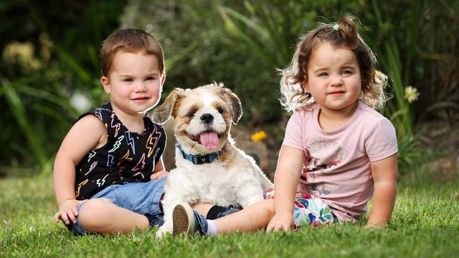 Twins Kobe and Grace, both 2, with Hercules after his two-week ordeal. Picture: Nigel Hallett