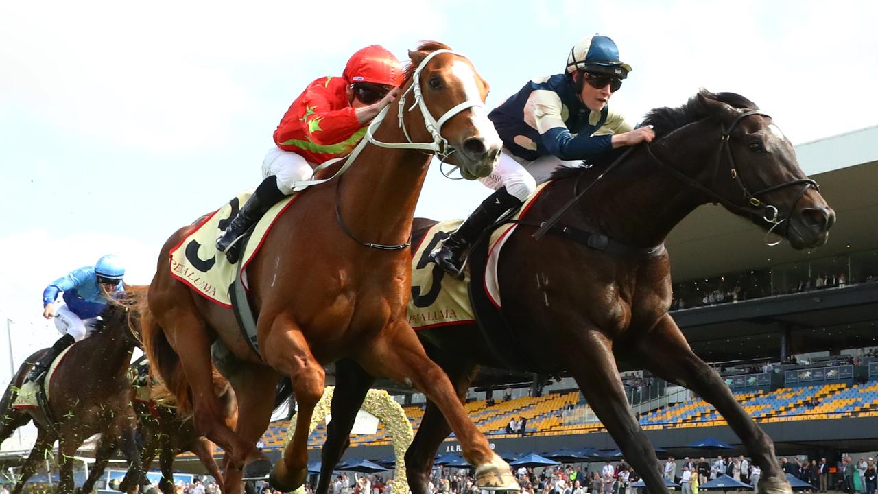 Perspiration (outside) edges out race favourite Gatsby’s to win the Heritage Stakes Picture: Jeremy Ng/Getty Images