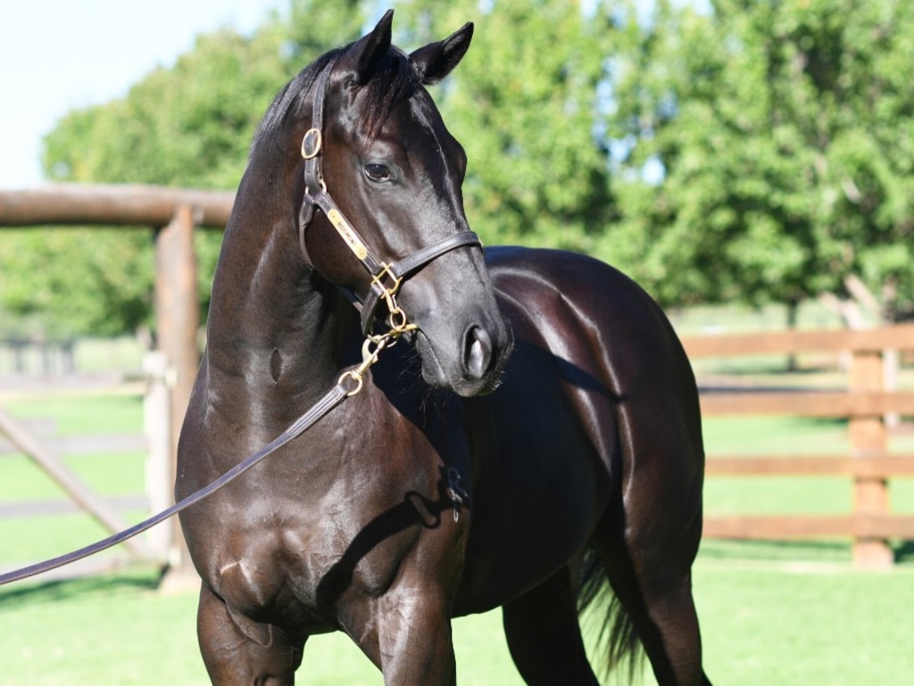 2024 Inglis Easter Yearling Sale preview Ridgmont Farm draft