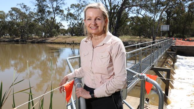 Environment Minister Sussan Ley is facing a preselection challenge. Picture: Richard Dobbins