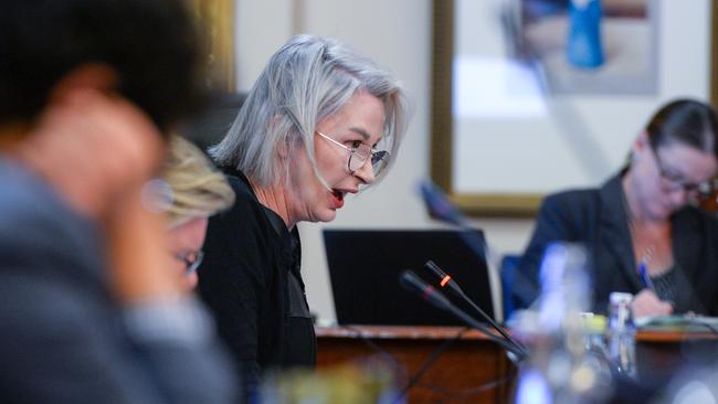 Councillor Anne Moran addresses the chamber. Picture: Brenton Edwards